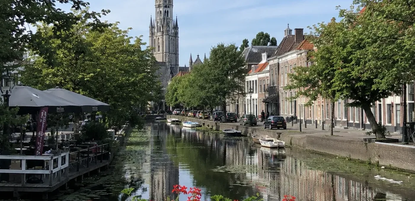 gouda